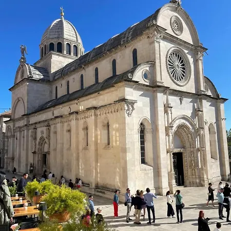 Olive Tree By The Sea