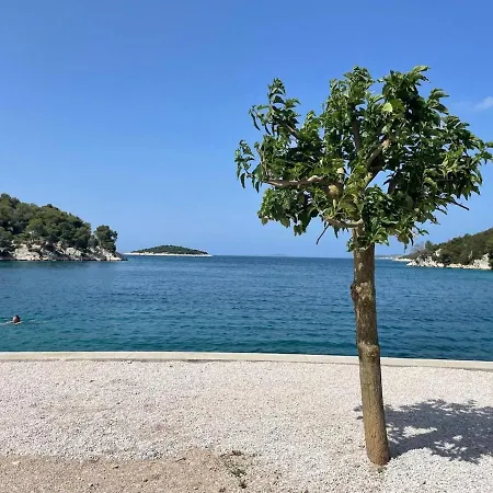 公寓 Olive Tree By The Sea *