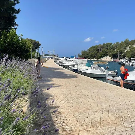 Apartment Olive Tree By The Sea *