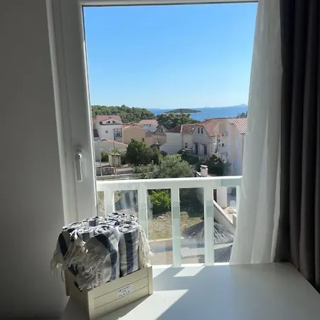 Olive Tree By The Sea