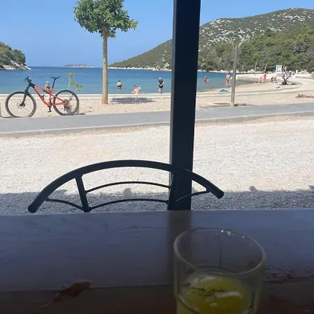 Olive Tree By The Sea 公寓 Tribalj