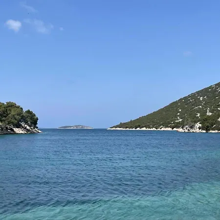 Olive Tree By The Sea Tribunj (Sibenik-Knin)