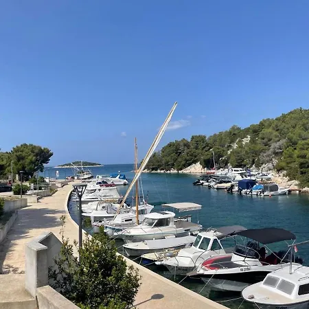 Olive Tree By The Sea Tribalj