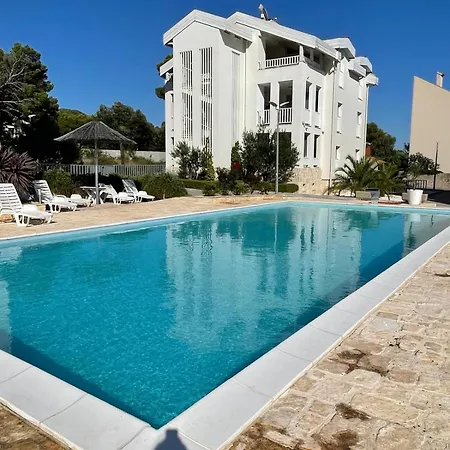 Olive Tree By The Sea