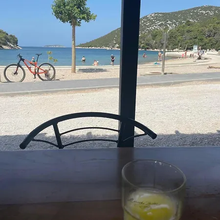 Olive Tree By The Sea Tribalj