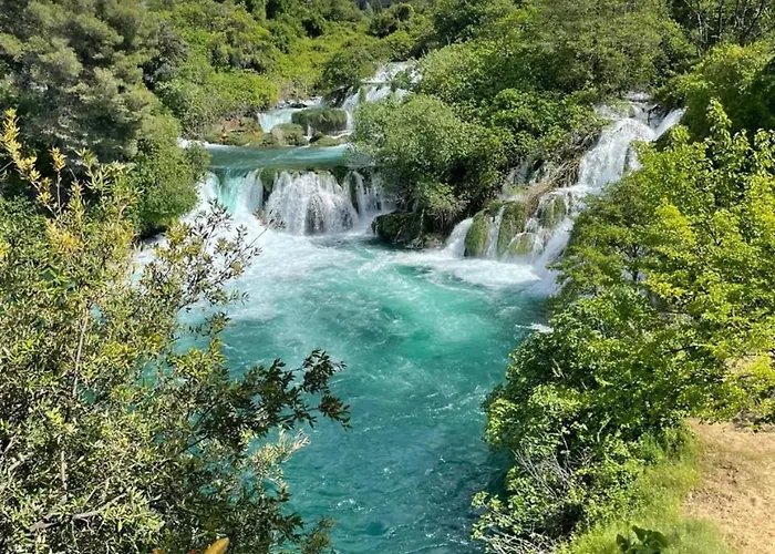 Olive Tree By The Sea *