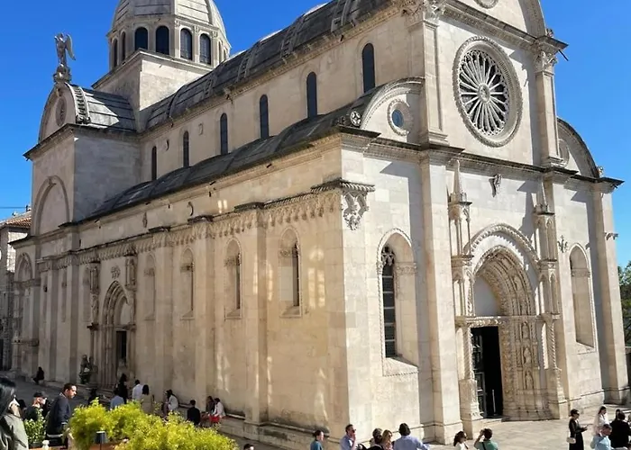 Olive Tree By The Sea