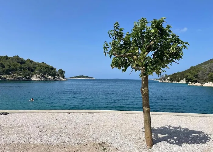 아파트 Olive Tree By The Sea *