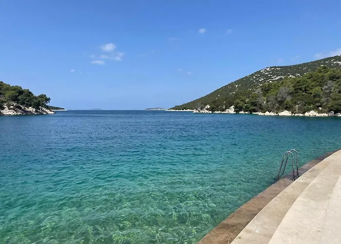 Olive Tree By The Sea *