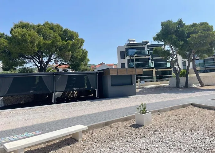 Olive Tree By The Sea *