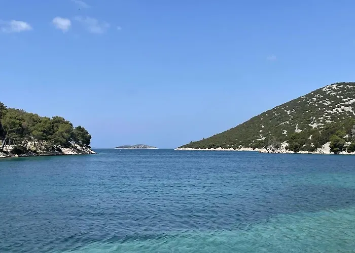 Olive Tree By The Sea Tribalj