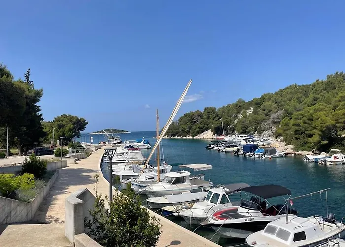 Olive Tree By The Sea Tribalj