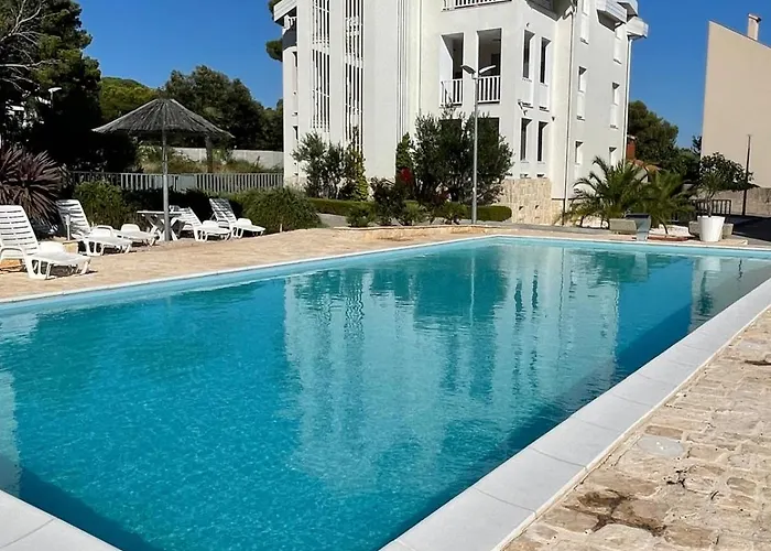 Olive Tree By The Sea